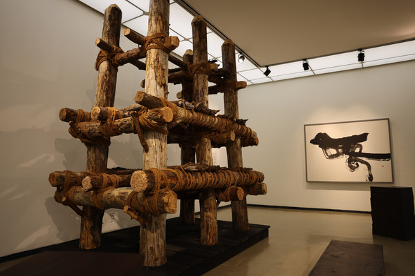 나무의 시간 전시 전경 