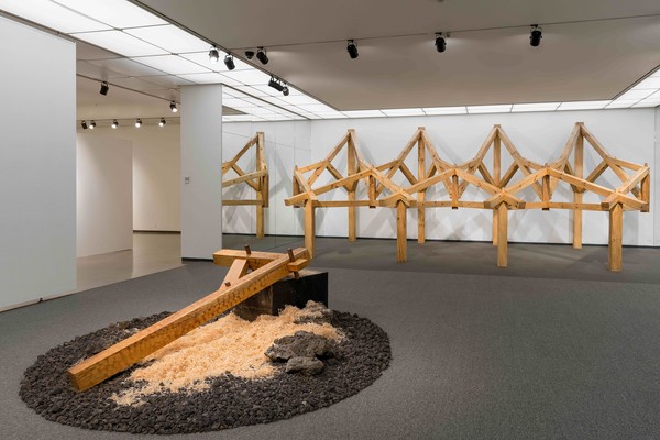 나무의 시간 전시 전경 Grafton Architects