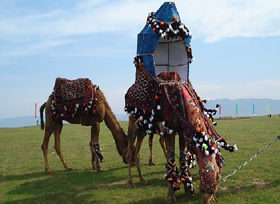 ⓒSecretariat of the Turkmenistan National Commission for UNESCO. 2018