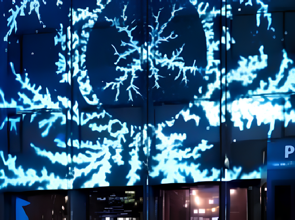 정윤수, 'Patterns of Symbiosis : 공생하는 무늬'