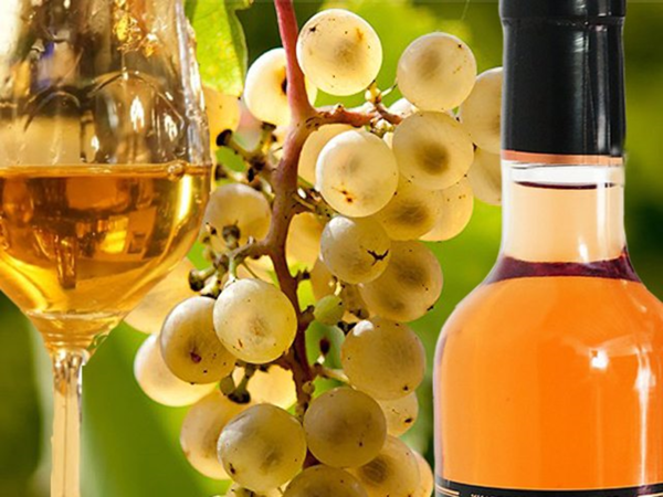 A bunch and a glass of Picolit wine. Credits: www.blog.cantine.wine