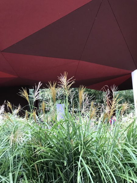 케 브랑리 미술관 전경 (C) Ines H L