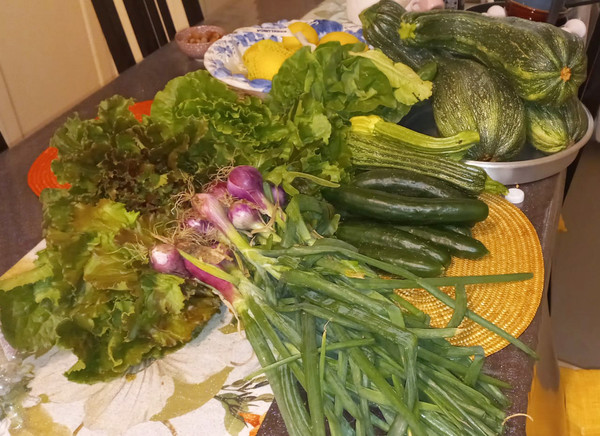 Fresh vegetables directly from the orto