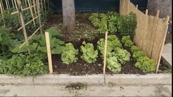 Orto corner arrangement