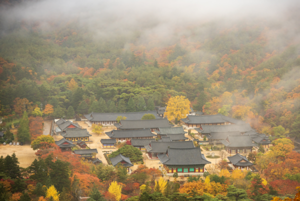 양해만, 청도 운문사  120mm  F3.5  1/80s  ISO200