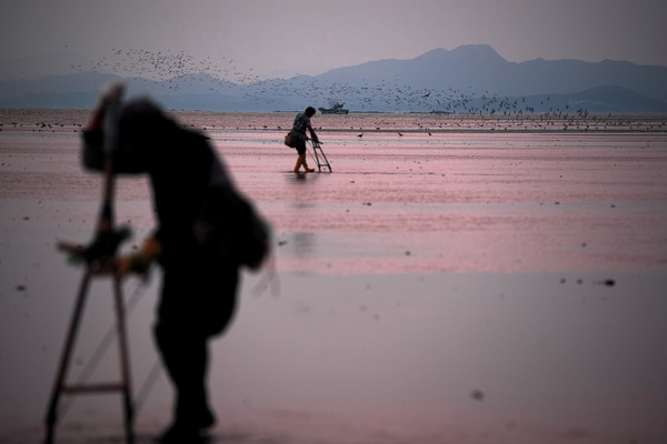 유부도, 한국, 2012