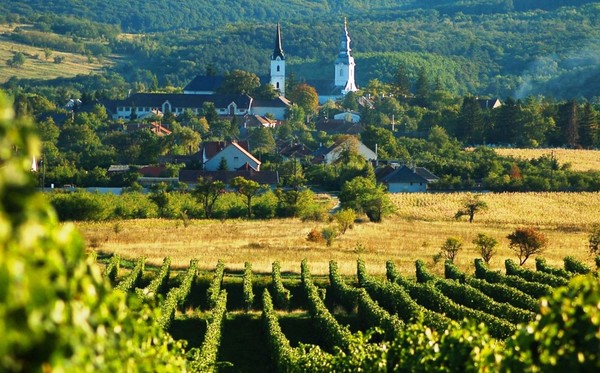 Tokaj wine region, photo: Bihari Zoltán