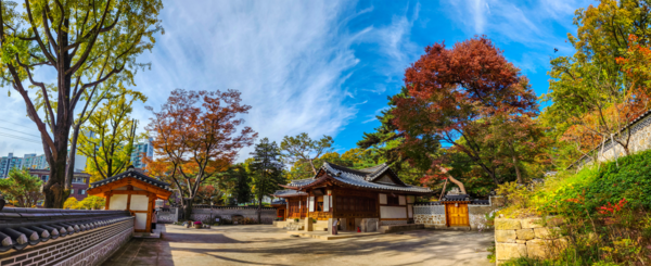 정나연 간송옛집  23mm F3.5  1/80s  ISO 200