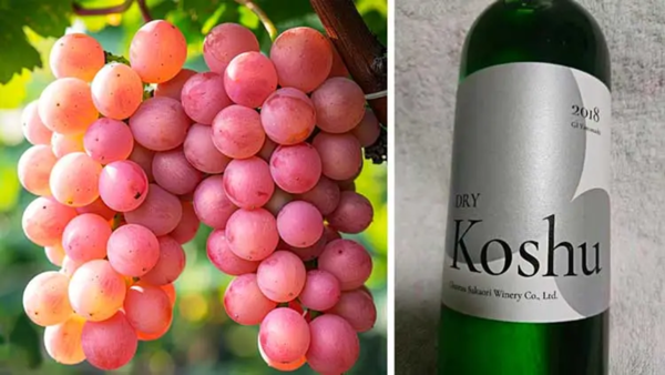 Bunches of Koshu grapes and a bottle of Koshu dry wine. Credits: www.sempredirebanzai.it
