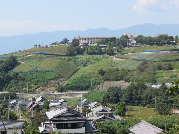 Koshu vineyards. Yamanashi Prefecture, Japan. Credits: CC BY-SA 4.0 www.wikipedia.org