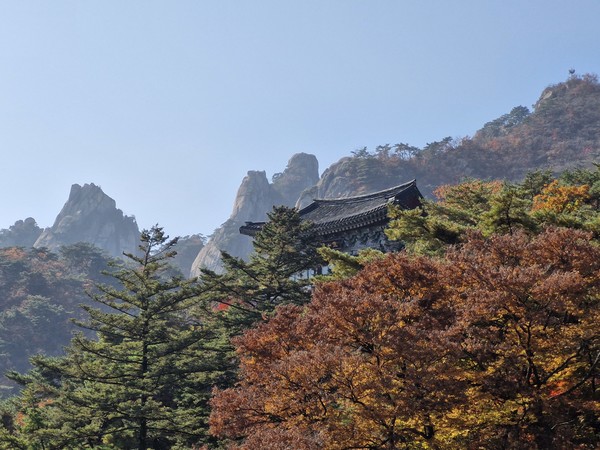 영산전