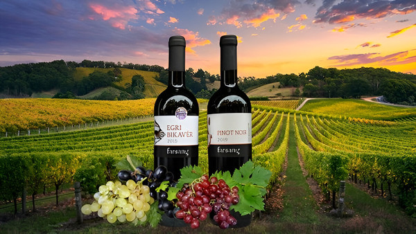 Previous page. Credits: www.egersun.hu