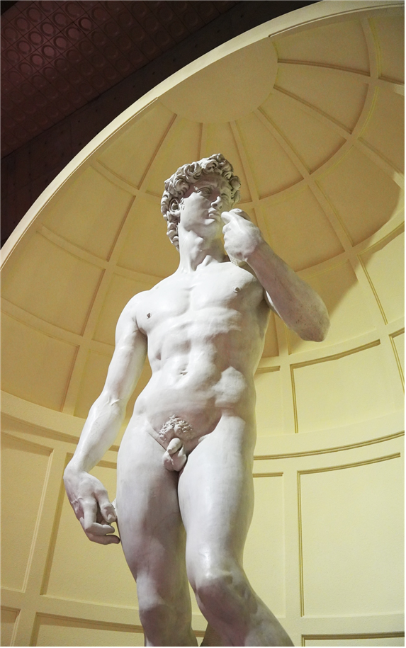 피노디아 다비드상