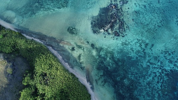 Nik Schmidt-unsplash