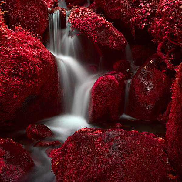 2022 Summer 2100x2100 Infrared photography Achieving pigment print