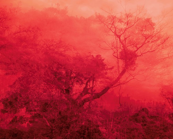 한림읍, 제주도, 2021