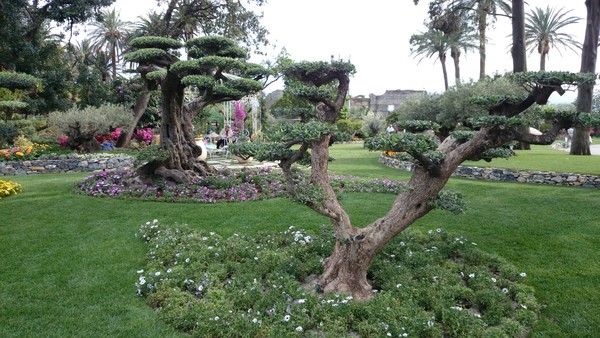 Genova-Euroflora-2018-gallery7