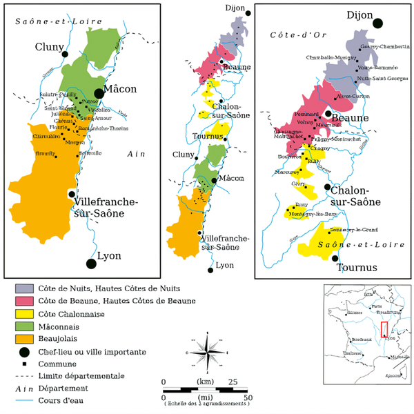 Burgundy wine region. Beaujolais is the southern part marked in beige. Credits: CC BY-SA 4.0 www.wikipedia.org