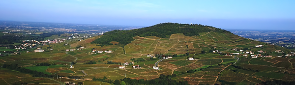 Gamay vineyards around Mount Brouilly, Beaujolais wine region. Credits: CC BY-SA 3.0 www.wikipedia.org