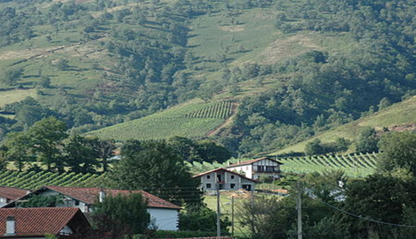 Vineyards nearby the village of Irouléguy in the French part of the Basque Country. Credits: CC BY 2.5 www.wikipedia.org