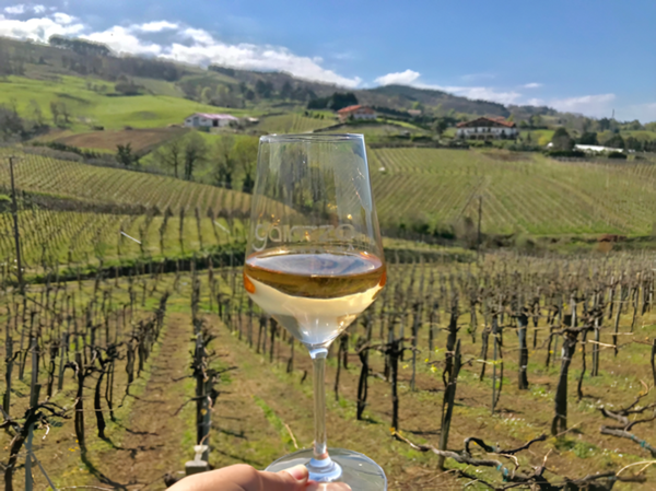 A glass of Txakoli rosé with a beautiful view of Getaria vineyards. Credits: www.highonwines.com (food and wine blog)