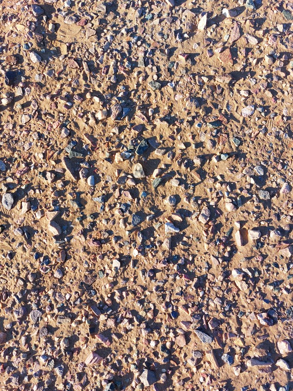 Farid-Bekran-unsplash