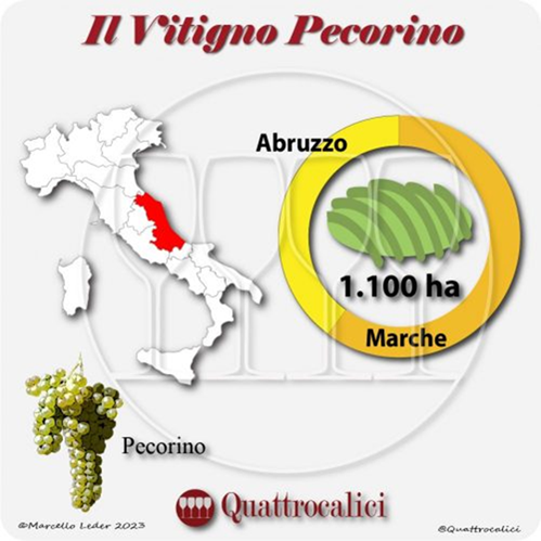 The Italian regions Marche and Abruzzo (marked in red). The main production areas of Pecorino wine. Credits: www.quattrocalici.it