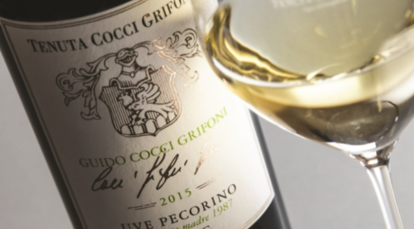 Pecorino from Cocci Grifoni winery. Ripatransone, Marche region. Credits www.gallienoteca.it