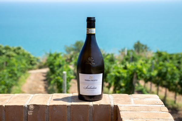 Pecorino DOCG “Salsèdine” from Terra Fageto winery. Fermo, Marche region. Credits www.terrafageto.it