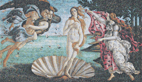 Chris Jordan  Running the Numbers_Venus