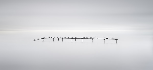 Chris Jordan  Ecstatic Desolation_CormPier09