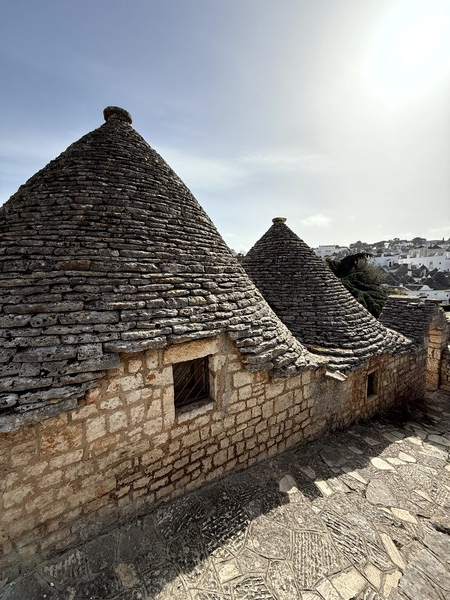 ⓒ2025 Douglas JEON