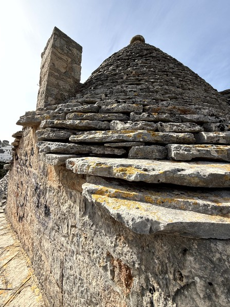 ⓒ2025 Douglas JEON