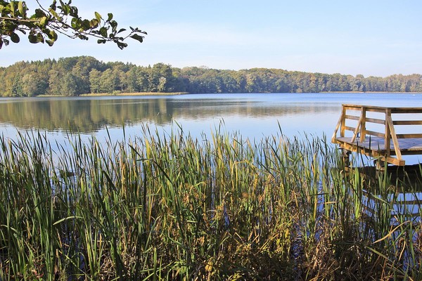 Fot. Mariusz Cieszewski