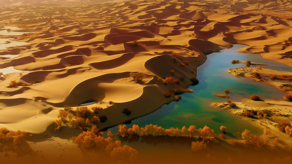 塔克拉玛干沙漠 타클라마칸사막