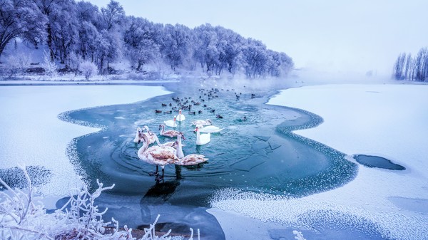ⓒ신장문화관광청 제공 天鹅泉的精灵 백조천의 요정