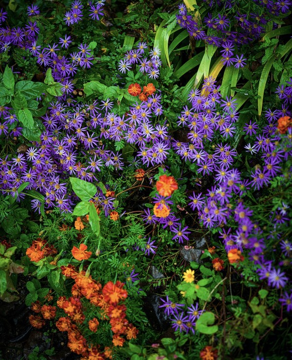 2024, 전라도 ⓒ An Woongchul