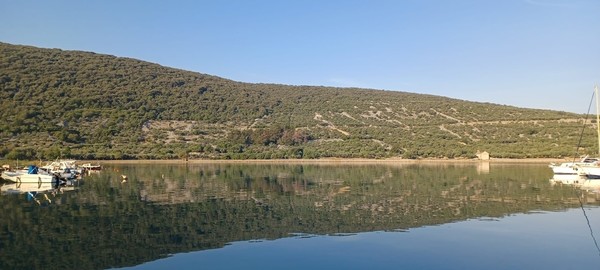 Cres Island (Slaven Bertosa)