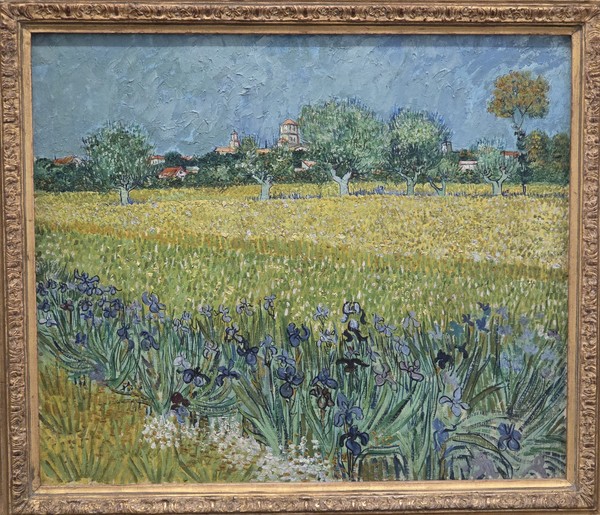 Vincent van Gogh, Field with irises near Arles
