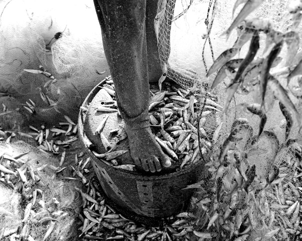 짐바란수산시장, 발리, 인도네시아, 2025