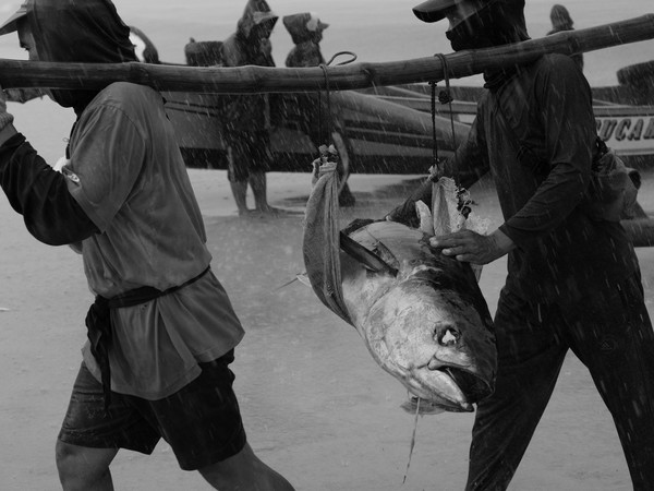 짐바란수산시장, 발리, 인도네시아, 2025