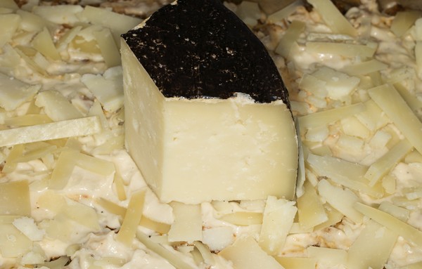 pecorino sardo grande