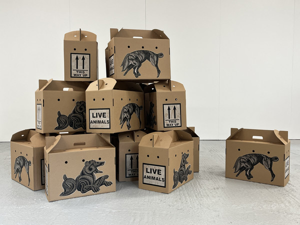 Leonie Bradley, Handle with Care, 2025, Woocut, linocut, gampi, cardboard boxes, 235x140x127cm