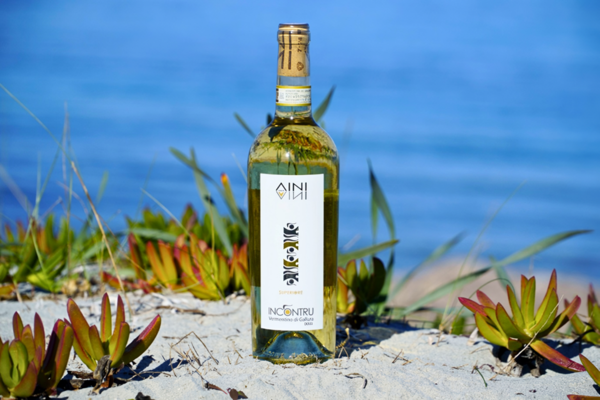 Vermentino di Gallura Superiore DOCG “Incontru” from Tenute Aini winery. Gallura, Sardinia. Credits: www.tenuteainivini,com