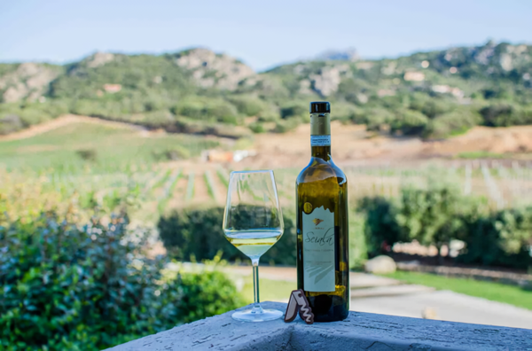 Vermentino di Gallura DOCG “Sciala”. Gallura, Sardinia. Credits: www.decanto.wine