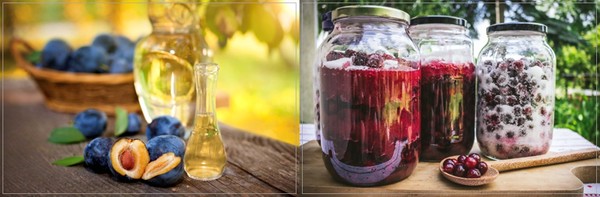 라키야는 자두, 배, 사과 등의 과일을 직접 담궈 만드는 크로아티아의 전통 고도수 브랜디로, 현지인들이 가장 사랑하는 대표적인 전통주다. (사진_크로아티아관광청/CNTB)