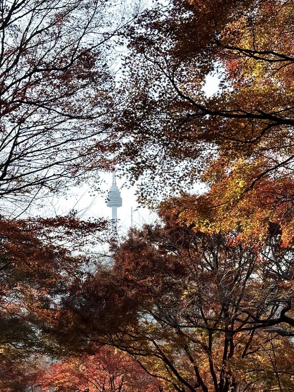 가을 남산 ⓒ Douglas JEON