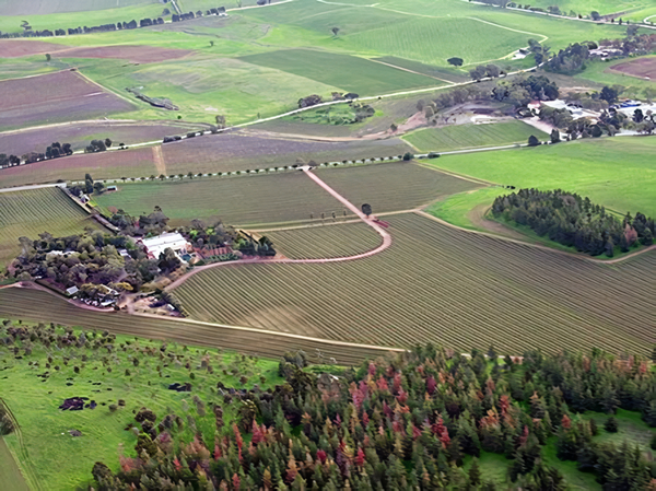 An aerial view of the Barossa Valley wine region. South Australia. Credits: CC BY 2.0 www.wikipedia.org