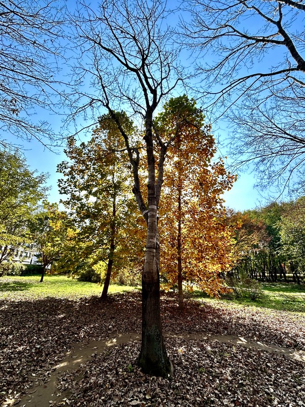 양수리 환경생태공원 ⓒ Douglas JEON