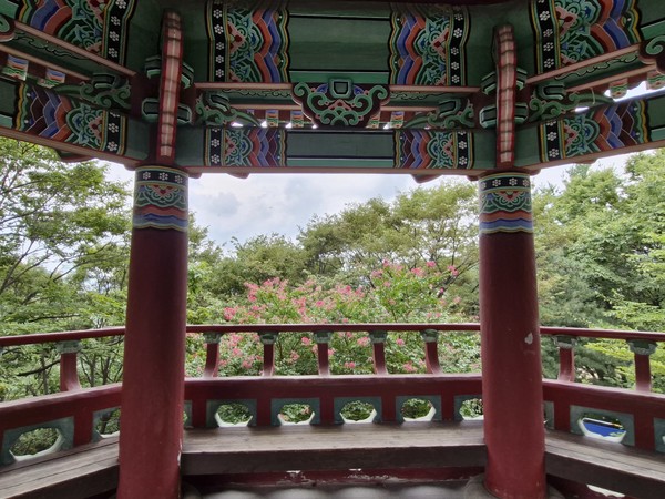 동망정에 올라서서